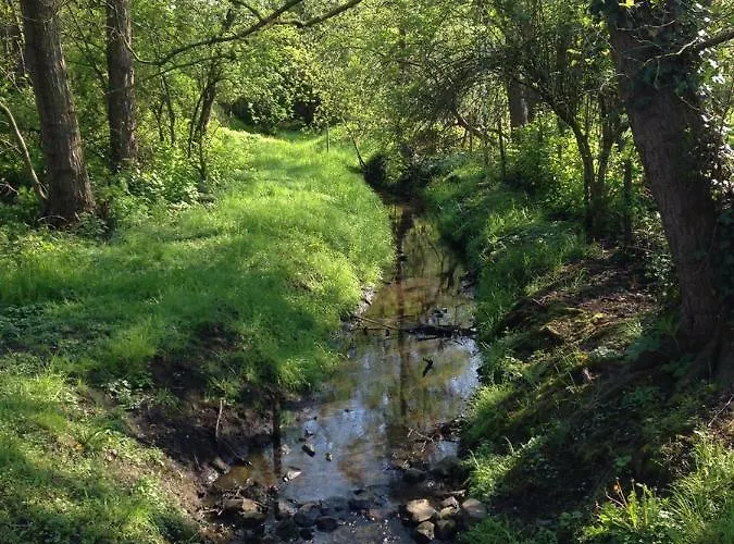 Niederrhein 아파트 Rheurdt